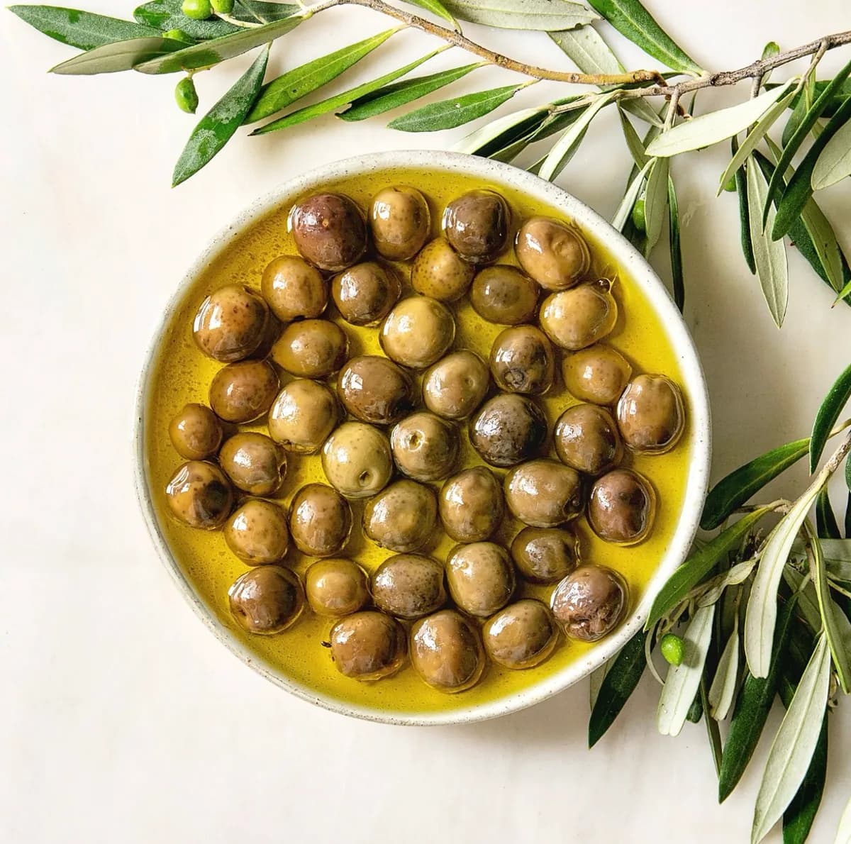 Olive Anatolian
