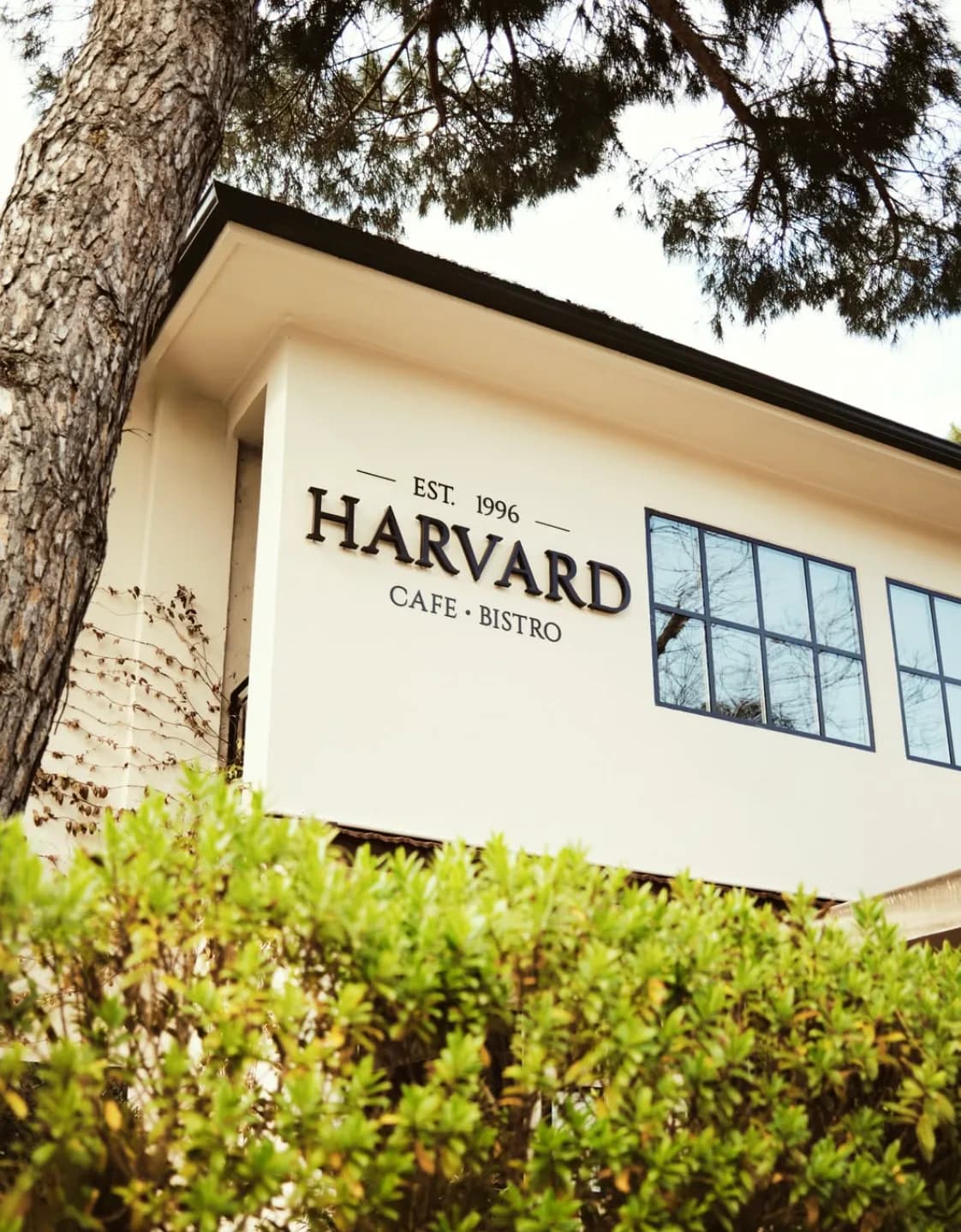 Harvard Cafe