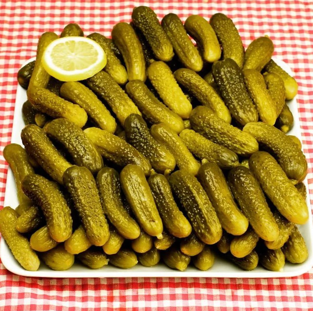 Pelit Tursulari Kurtulus