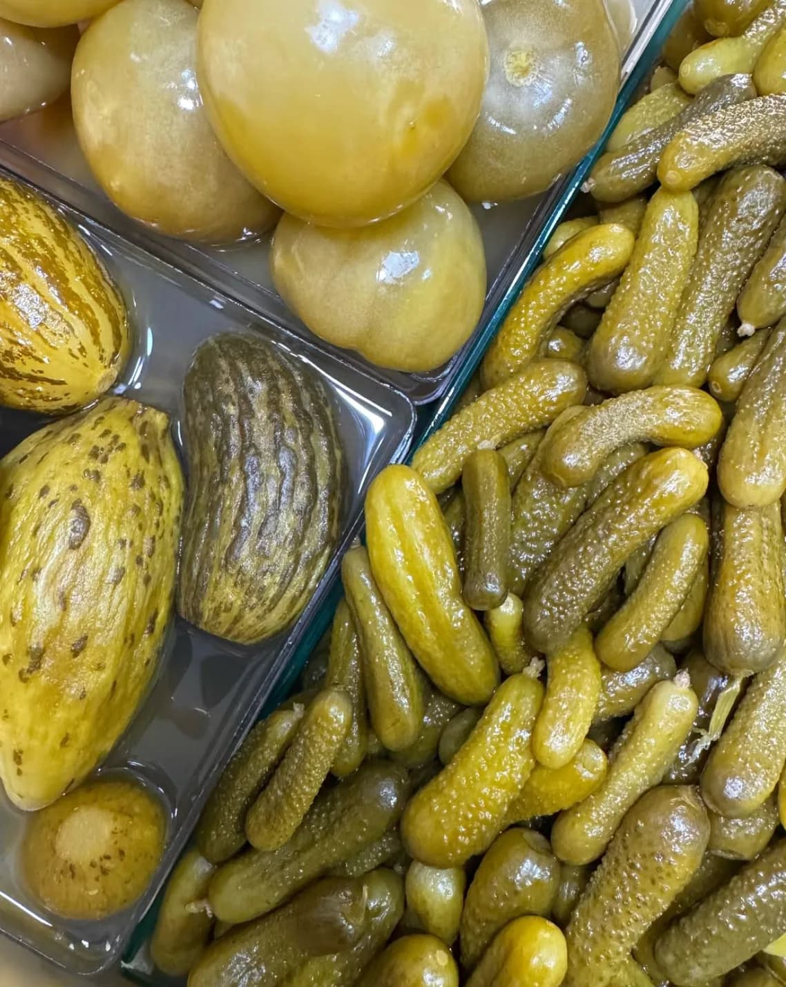 Tatar Turşucu Engin Usta